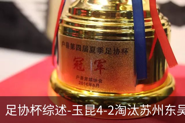足协杯综述-玉昆4-2淘汰苏州东吴16强全部出炉中超13队晋级